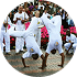 Capoeira Ensemble